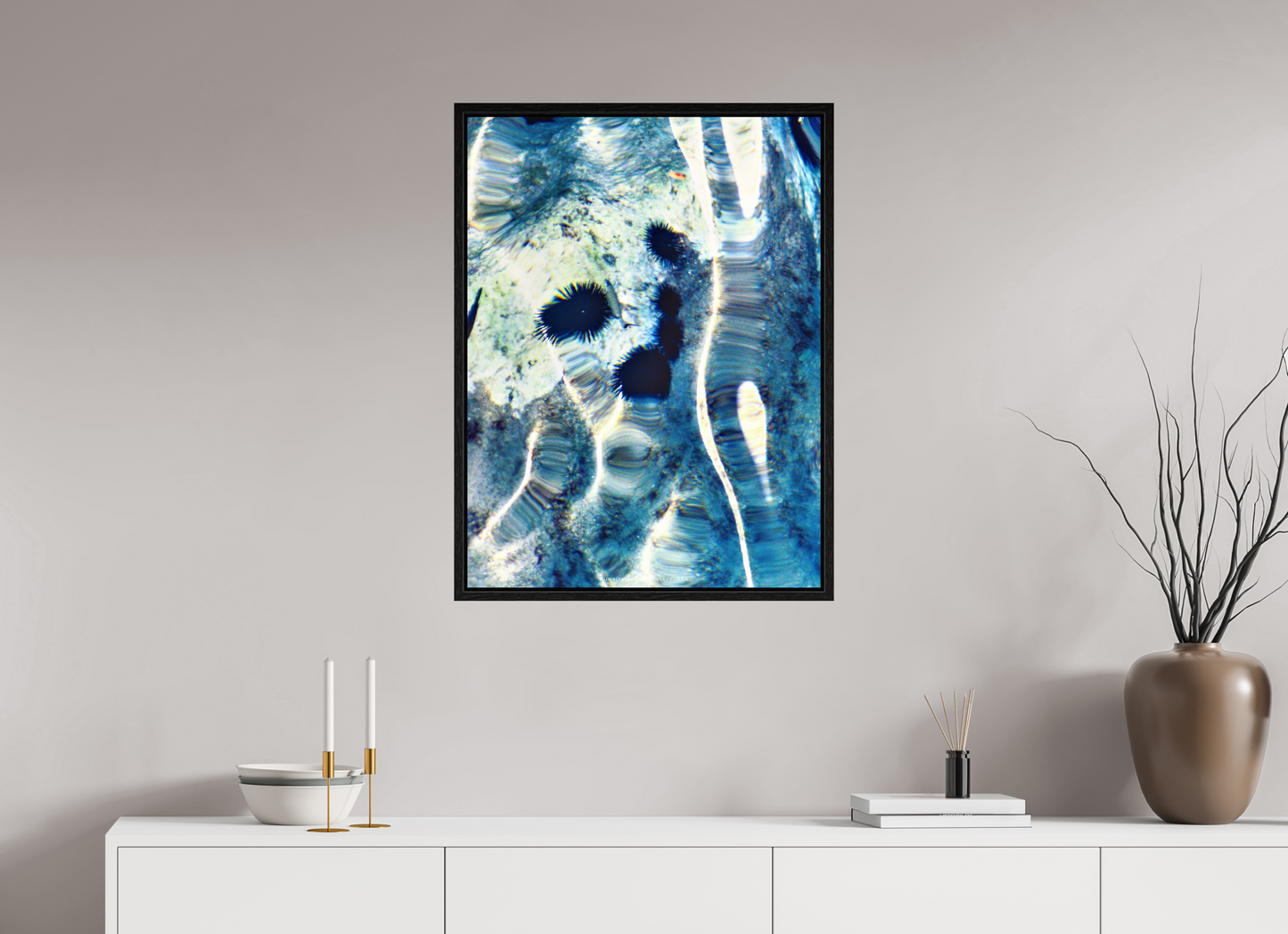 60 x 80 cm, Floater Frame Oursins n.1